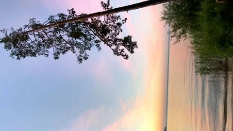 A pine tree leaned over the water against the backdrop of waves at dawn Video stock 202957867