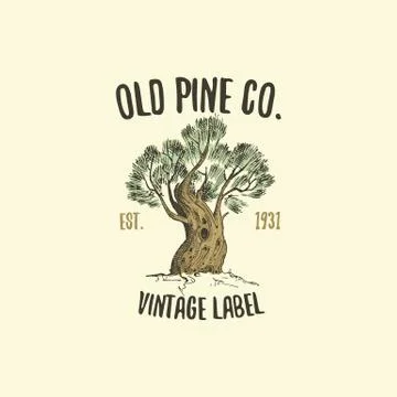 Pine tree logo engraved or hand drawn, isolated old looking emblem for ecology Illustrazione stock