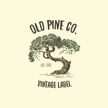 Pine tree logo engraved or hand drawn, isolated old looking emblem for ecology Illustrazione stock