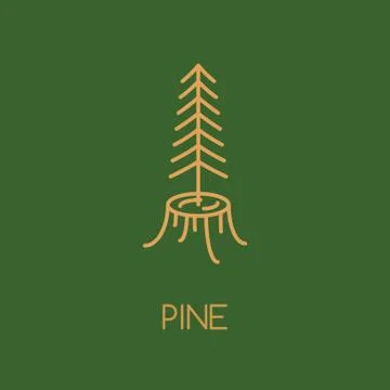 Pine tree logo icon design. Line style woods symbol. Stock Illustration