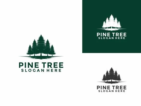 Pine Tree logo icon design illustration vector, Evergreen logo design templat Stock Illustration
