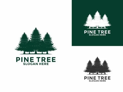 Pine Tree logo icon design illustration vector, Evergreen logo design templat Stock Illustration