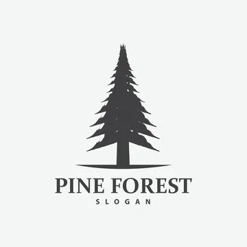 Pine Tree Logo, Luxurious Elegant Simple Design, Fir Tree Vector Abstract, .. Stock Illustration