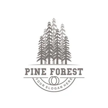 Pine Tree Logo, Luxurious Elegant Simple Design, Fir Tree Vector Abstract, .. Stock Illustration