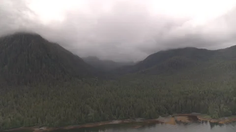 Pine Tree Mountains with Fog behind Lake drone Stock Footage 255144491