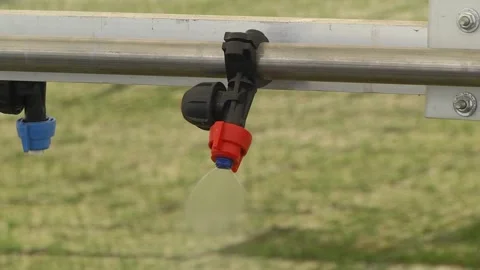 Pine tree nursery for reforestation Stock Footage 203412268