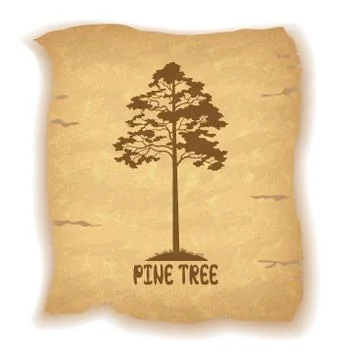 Pine Tree on Old Paper Stock Illustration