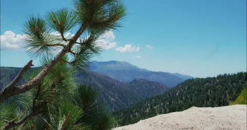 Pine Tree Overlooking Mountainous Landscape 스톡 동영상 323365180