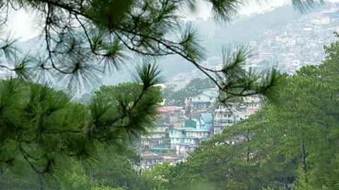Pine Tree Overlooking Scenic Hillside Village Stock Footage 329301652