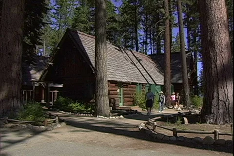 Pine Tree Park Visitors-2 Video stock 819555