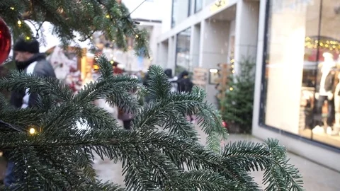 Pine Tree with people walking in the back snow during day Stock Footage Stock Footage 84896346