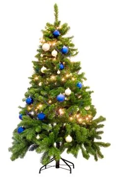 Pine tree Stock Photos