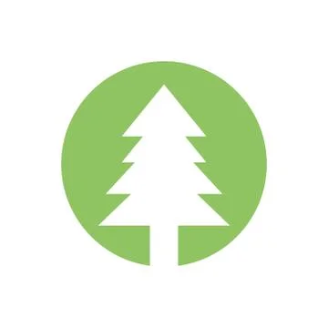 Pine tree plant nature image Illustrazione stock