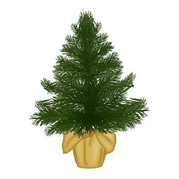 Pine tree in the pot clipart winter design element isolated on white backgr.. Stock Illustration