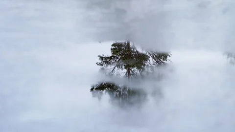 Pine tree, reflection of wood in melting ice. Last Spring Ice.The End Of Winter. Stock Footage 258613353