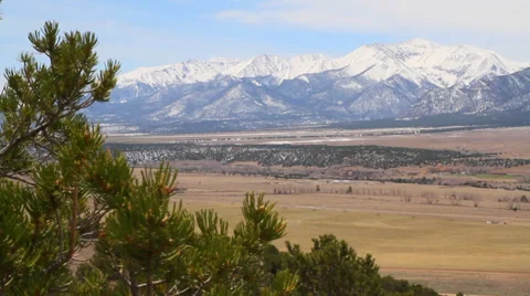 Pine Tree Reveal to Snow Capped Rocky Mountains Video stock 39884477