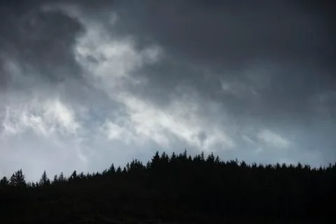 Pine tree ridge landscape image against dramatic stormy Winter sky in Snowdon Stock Photos