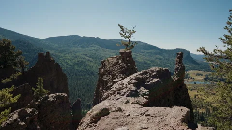 Pine tree on rock spire above Colorado mountain valley Video stock 348023439