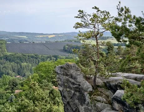 Pine tree on rocky overlook above forested valley, patterned crop fields, r.. 库存照片