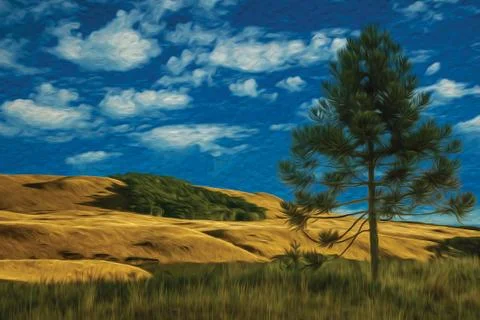 Pine tree in rural lowlands called Pampas Stock Illustration