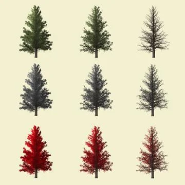 Pine tree season change set,summer winter autumn 3d rendering isolated for .. Stock Illustration