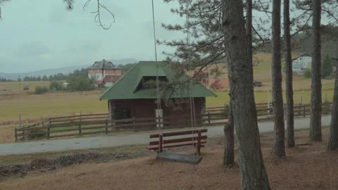 Pine Tree Shadows and Cabin Views in Zlatibor Countryside Stock Footage 295215248