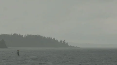 Pine tree shoreline passes rain and fog  marker buoy  Pugett Sound - HD-P 0083 Stock Footage 49845343