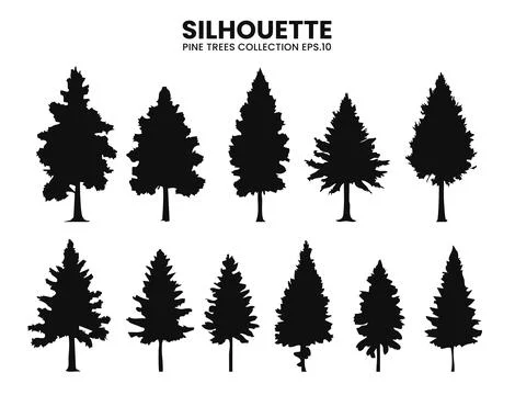 Pine Tree Silhouette Collection  Vector Illustration Stock Illustration