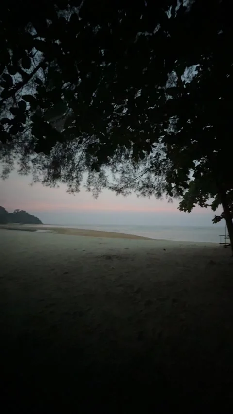 Pine Tree Silhouette Framing Twilight Beach Sunset in Kuantan Malaysia Stock Footage 340485525