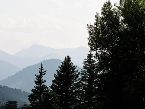 Pine tree silhouette with layers of mountains in the background. Stock Photos