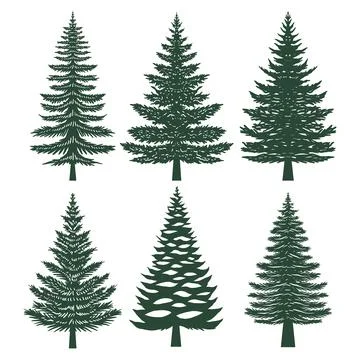 Pine tree silhouette set collection Stock Illustration