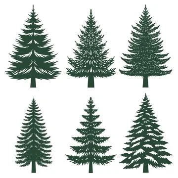 Pine tree silhouette set collection Stock Illustration
