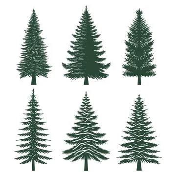 Pine tree silhouette set collection Stock Illustration