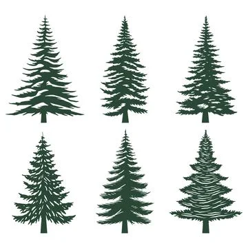 Pine tree silhouette set collection Stock Illustration