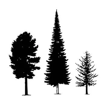 Pine Tree Silhouette Set, Evergreen Conifer Forest Trees Collection Stock Illustration