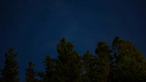 Pine Tree Silhouette Star Starlapse blue tones Time Lapse, Timelapse, Time-La Stock Footage 128938754