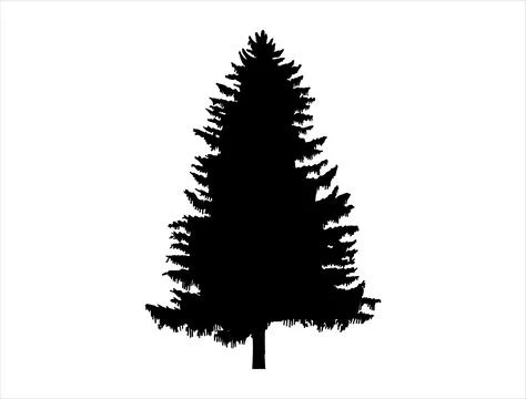 Pine tree silhouette vector art Stock Illustration