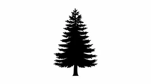 Pine Tree Silhouette Vector Illustration Stock Illustration