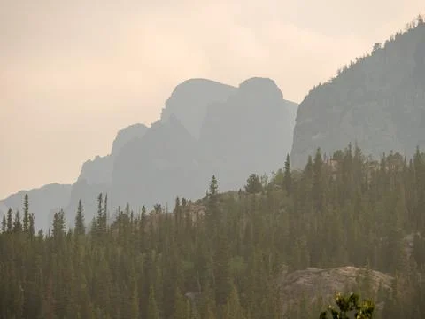 Pine tree silhouettes with layers of mountains in the background. Stock Photos