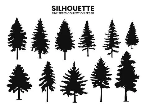 Pine Tree Silhouettes  Vector Collection for Nature Designs Stock Illustration