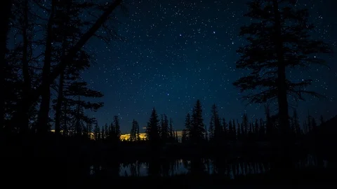 Pine tree skyline with stars Stock Footage 114780879