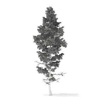 3D Model: Pine Tree with Snow 3D Model 14m #91390479 | Pond5