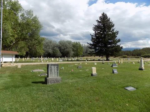 Pine tree in Spring City Utah cemetary Stock Photos