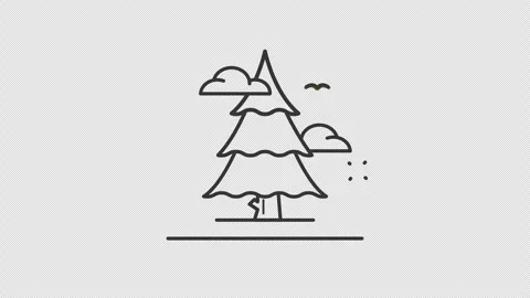 Pine tree spruce tree animated icon motion graphic video Stock Footage 285314102
