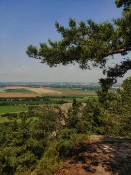 A pine tree stands on a rocky cliff overlooking a vast, verdant countryside Stock Photos
