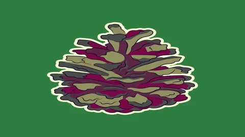 Pine tree sticker on leaf it isolated isolated on green screen background Stock Footage 336858152