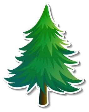 Pine tree sticker on white background 스톡 일러스트