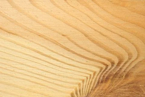 Pine tree texture. Wood background, light natural pattern Stock Photos