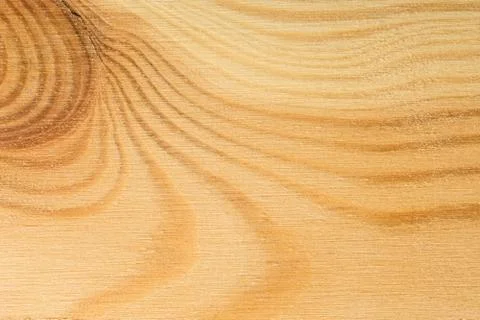 Pine tree texture. Wood background, light natural pattern Stock Photos