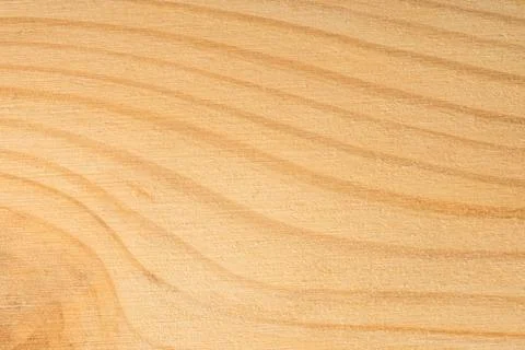 Pine tree texture. Wood background, light natural pattern Stock Photos